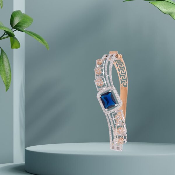 WhatsApp Image 2025-08-29 at 11.25.49